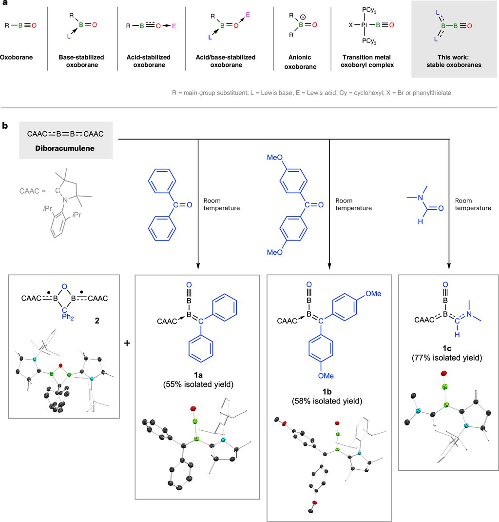 Two-part figure. The top row draws six previously known types of oxoborane with the new compound at right. The lower part shows three room-temperature reactions of the same two-boron compound with three carbonyl reagents, each product drawn beside its crystal structure and isolated yield.