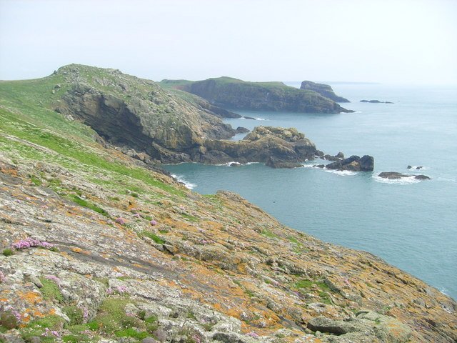 Green clifftops and rocky headlands on Skomer island fall to a calm blue sea, with sea thrift flowering in the foreground.