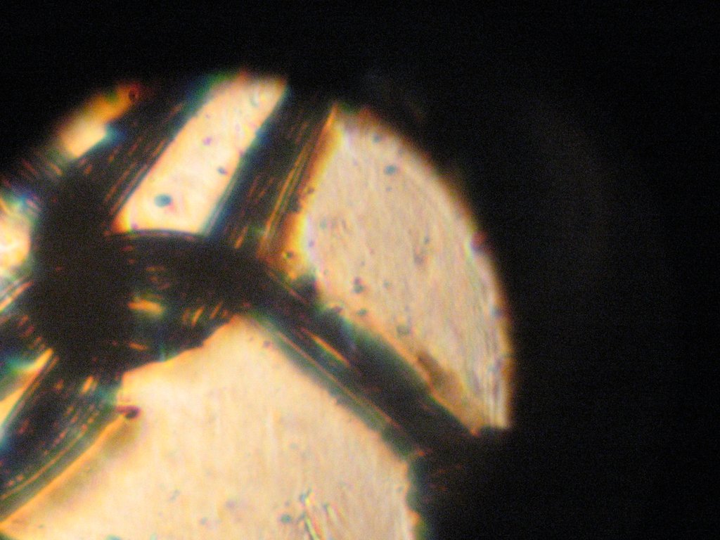 A macro photograph through a microscope eyepiece showing dark nylon threads crossing over a bright field.