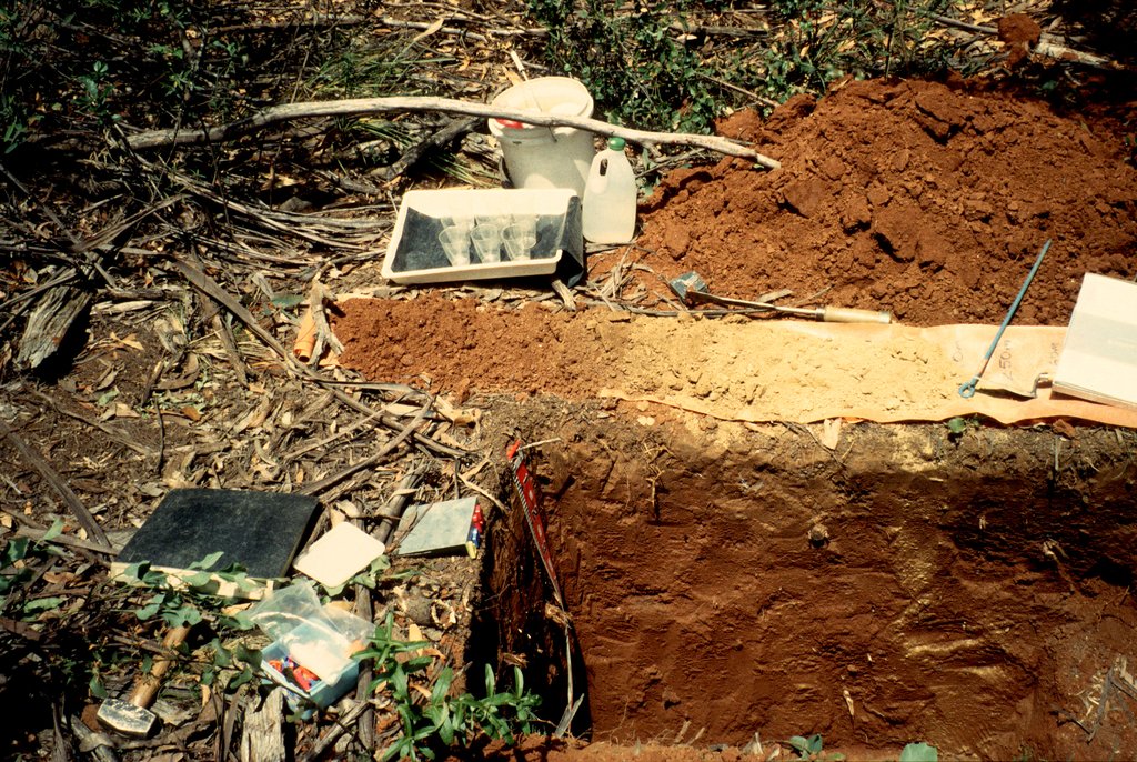 A pit cut into layered soil, with trays of soil samples and hand tools laid out along the edge